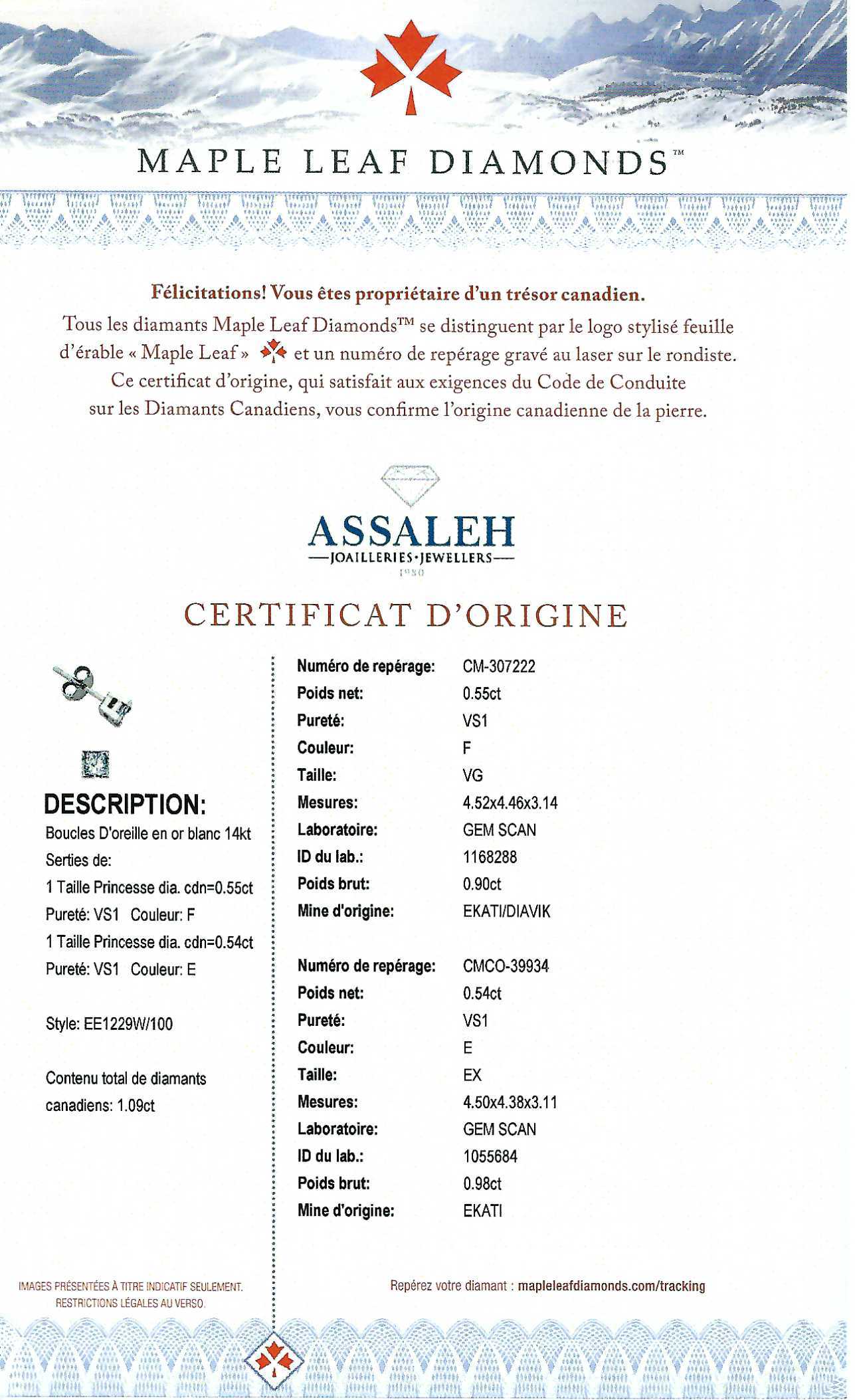 Stud Earring - Natural Maples Diamonds - 14Kt White Gold | EE1229W/100 - Image 3